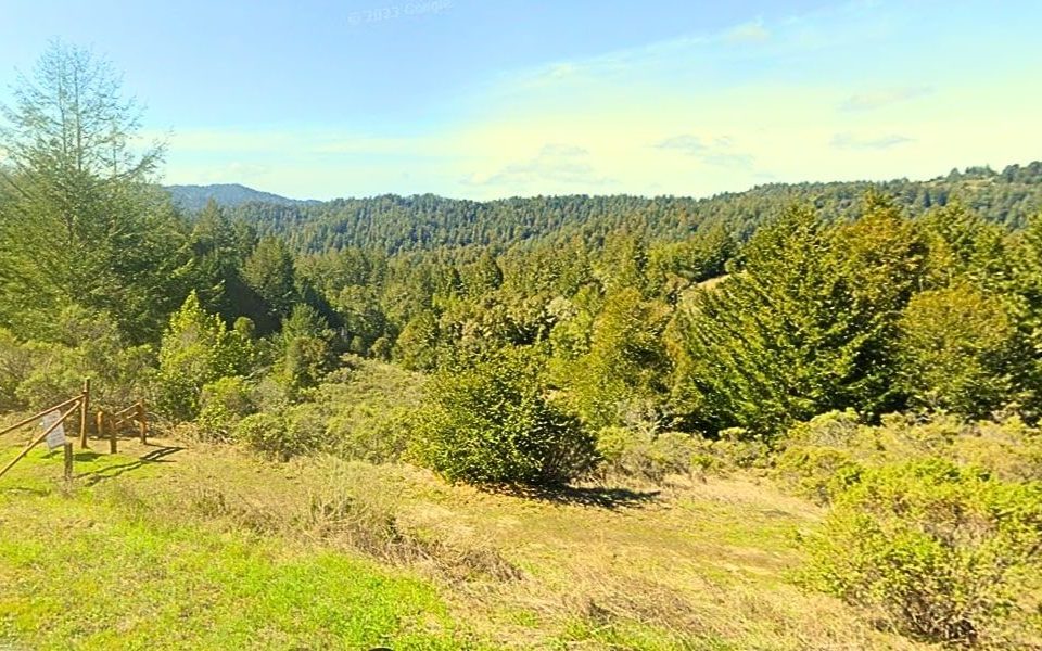 Pescadero Creek Park